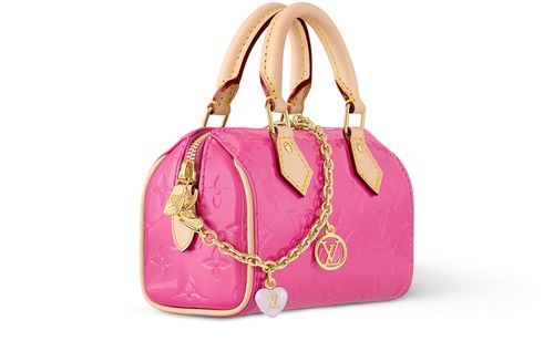 LOUIS VUITTON NANO SPEEDY 手袋