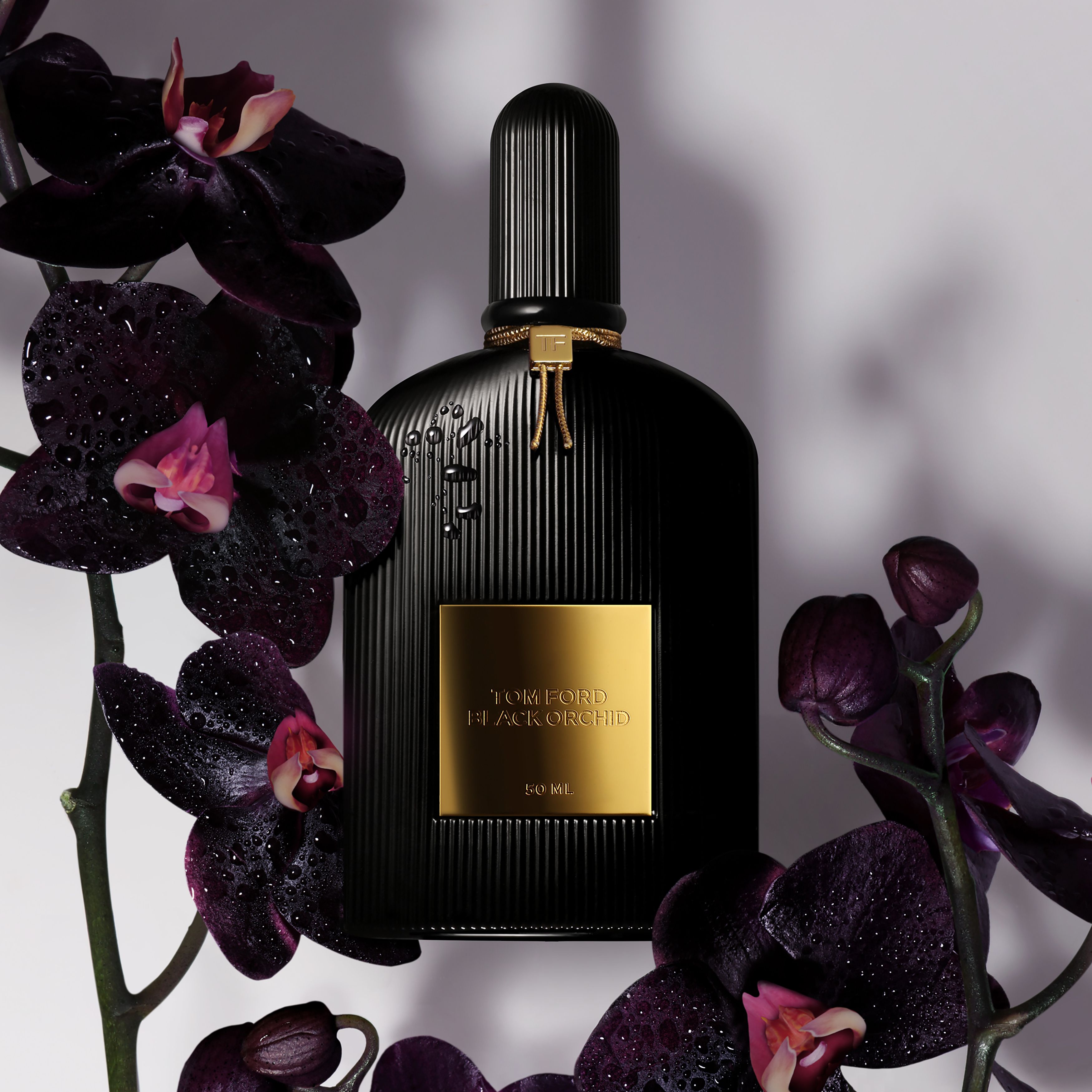 Black Orchid eau de parfum 100 ml thumbnail 6
