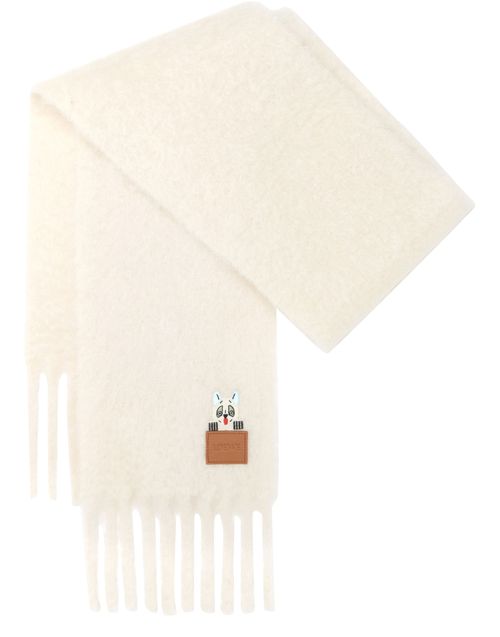 LOEWE Mohair and wool scarf