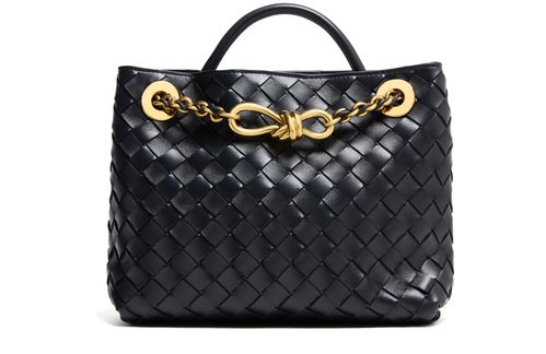 BOTTEGA VENETA Andiamo small bag