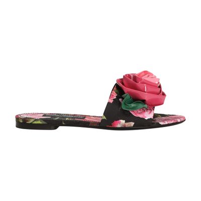 Dolce & Gabbana Rose Embellished Printed Flat Sandals In Multicolor