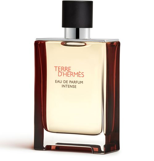 HERMÈS Terre d'Hermès, Eau de Parfum Intense 100 ml