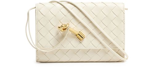 BOTTEGA VENETA Andiamo pouch