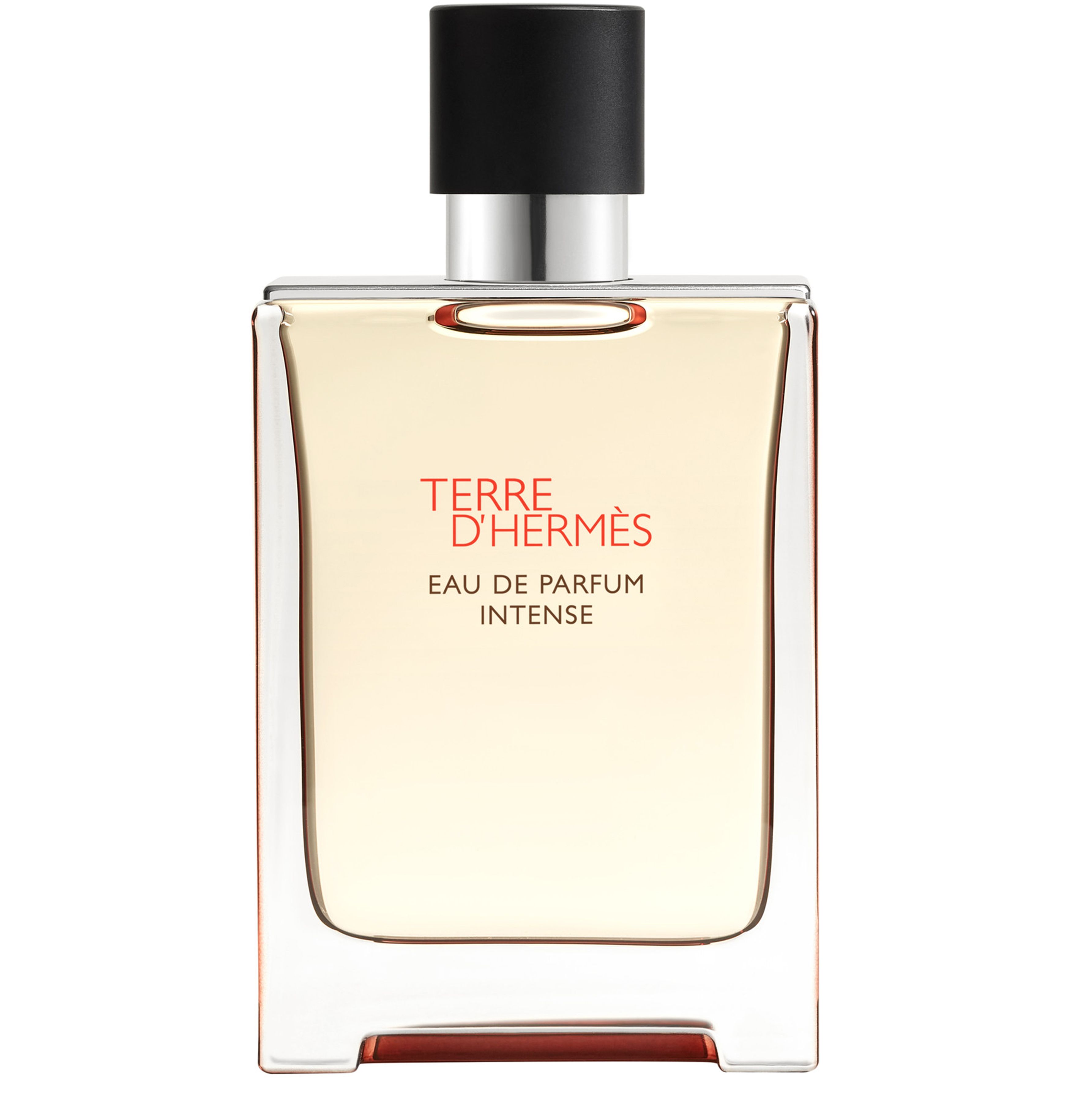 Terre d'Hermès, Eau de Parfum Intense 100 ml