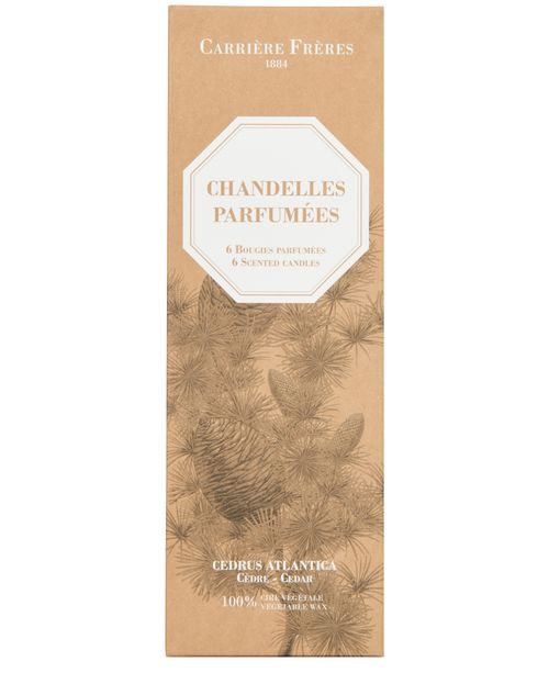 CARRIERE FRERES 6 Scented Taper Candles Cedar