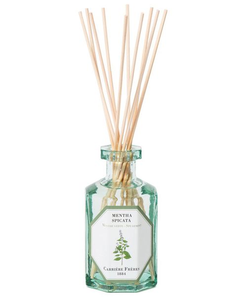 CARRIERE FRERES Fragrance diffuser Spearmint - Mentha Spicata 200 ml