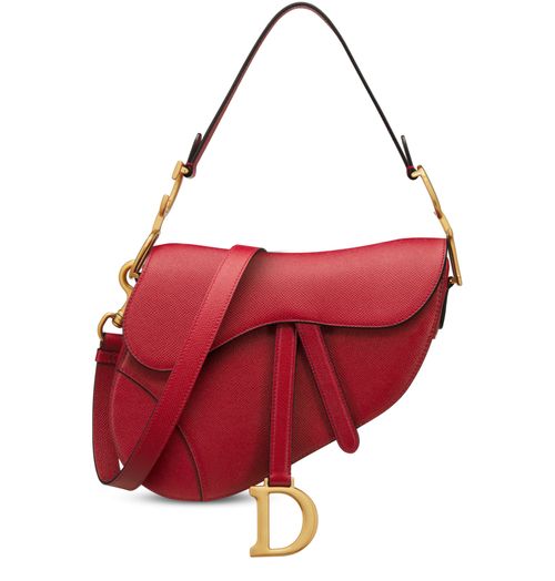 Christian dior bag clearance saddle
