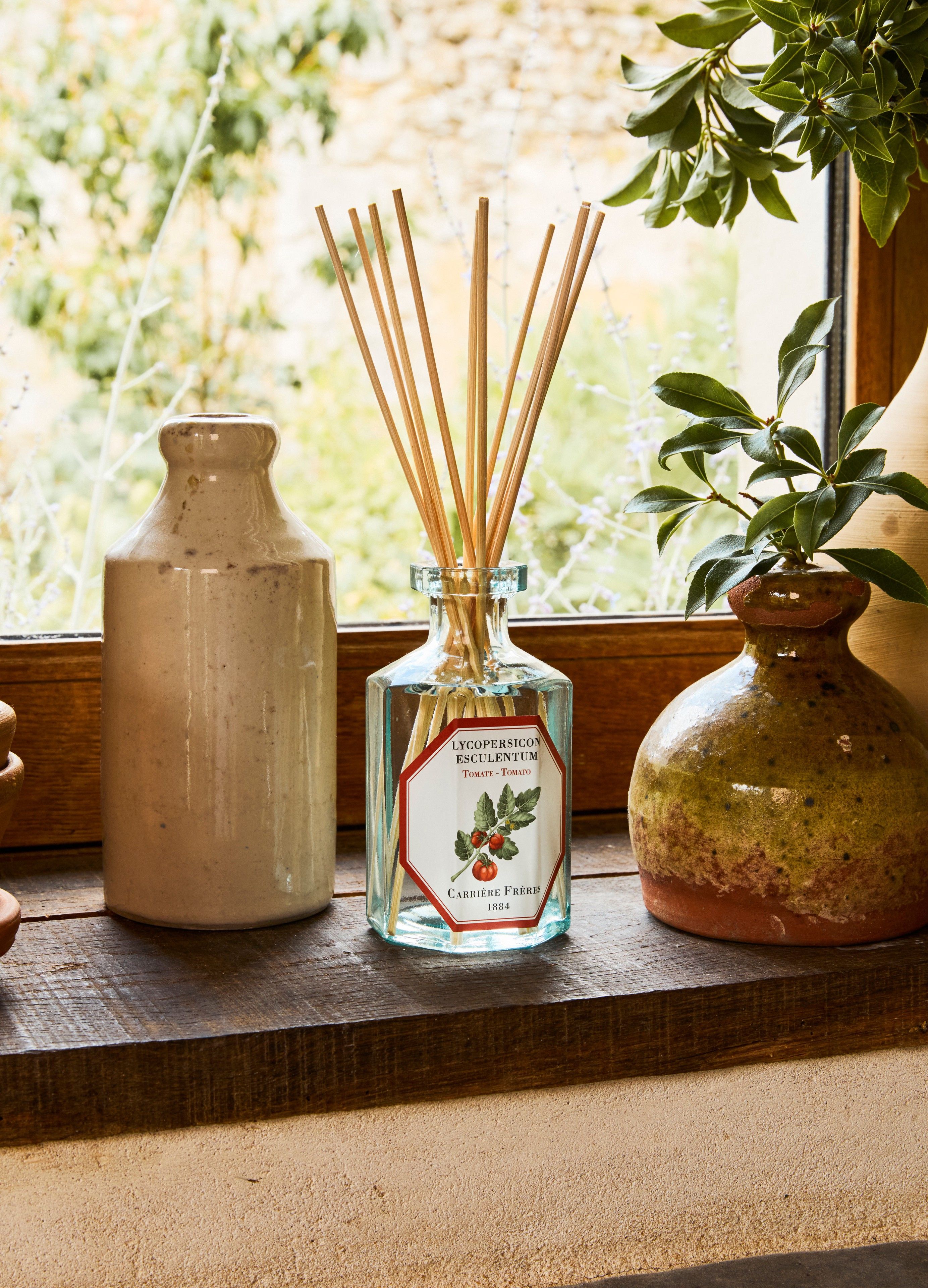 Fragrance diffuser Tomato - Lycopersicon Esculentum 200 ml thumbnail 3
