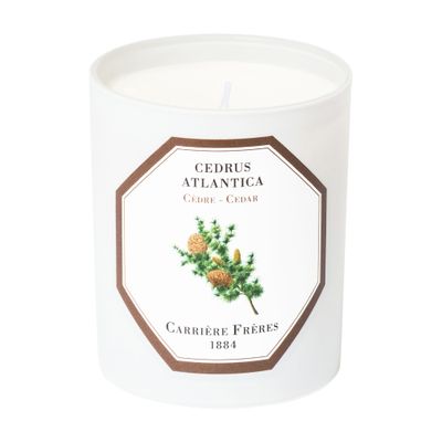 Shop Carriere Freres Scented Candle Cedar - Cedrus Atlantica 185 G