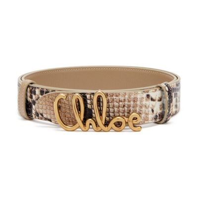 Chloé Iconic Small Belt In Brown