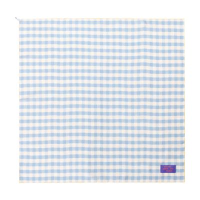 Loewe Scarf In Blue