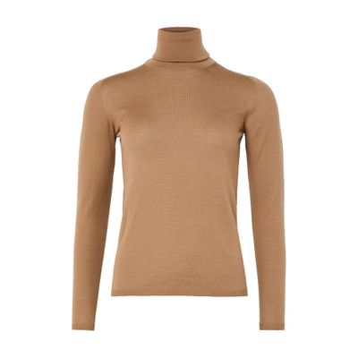 Max Mara Saluto Turtleneck Sweater In Brown