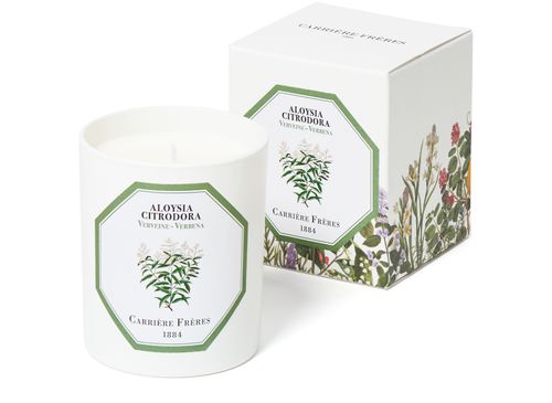 CARRIERE FRERES Scented Candle Verbena - Aloysia Citrodora - 185 g
