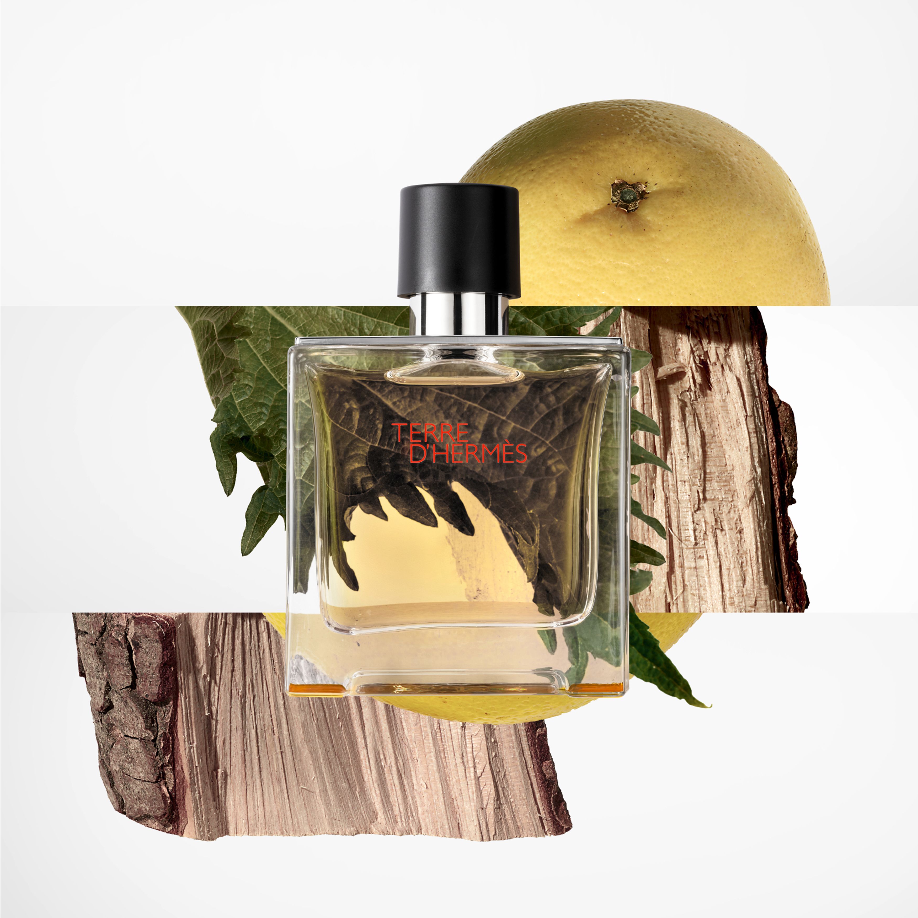 Terre d'Hermès, Parfum 75 ml thumbnail 5