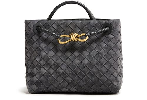 BOTTEGA VENETA Andiamo small bag