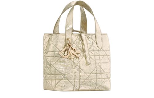 DIOR Small Dior Toujours Vertical Tote Bag