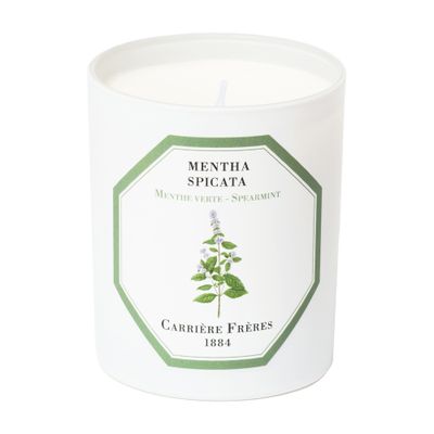 Shop Carriere Freres Scented Candle Spearmint - Mentha Spicata 185 G