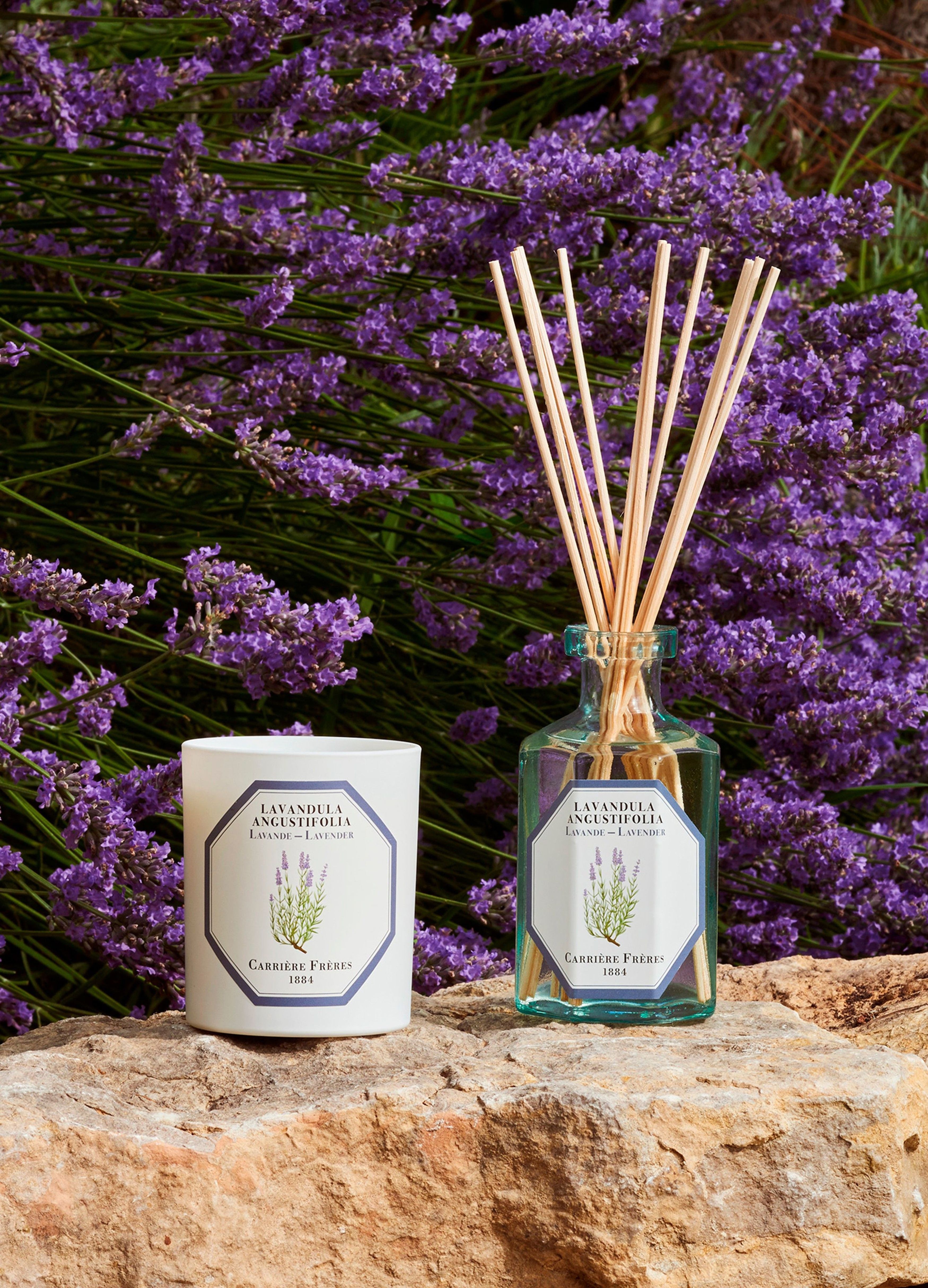Fragrance diffuser Lavender - Lavandula Angustifolia 200 ml thumbnail 4