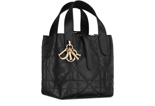 DIOR Dior Toujours Vertical Nano Tote Bag