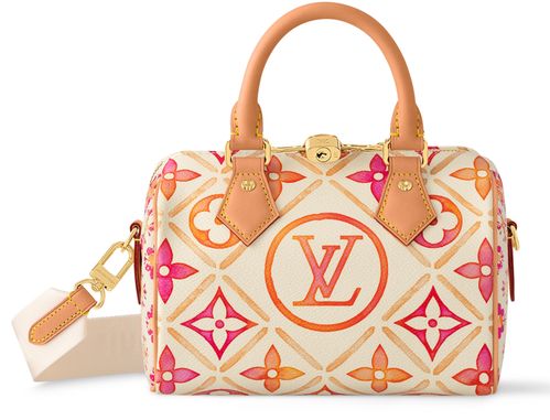 LOUIS VUITTON Speedy Bandoulière 20