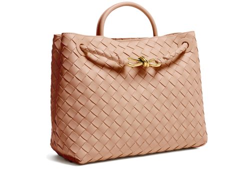 BOTTEGA VENETA Andiamo small bag