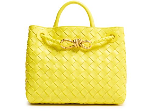 BOTTEGA VENETA Andiamo 小号手提包