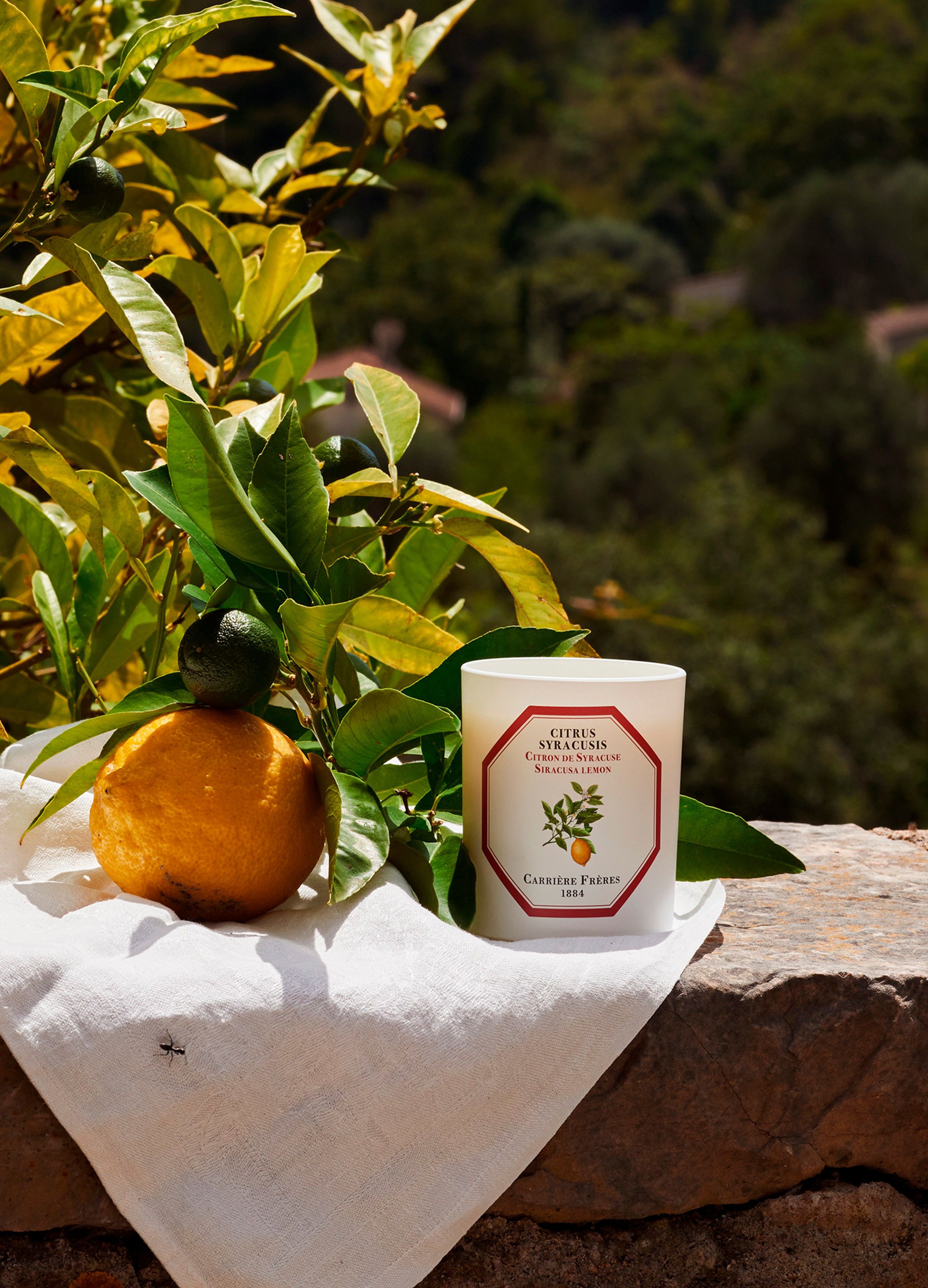 Scented Candle Siracusa Lemon - Citrus Syracusis 185 g thumbnail 3