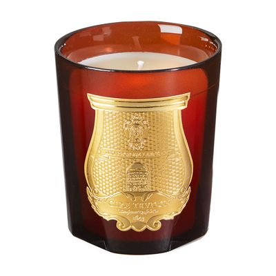 Trudon Scented Candle Cire 270 G