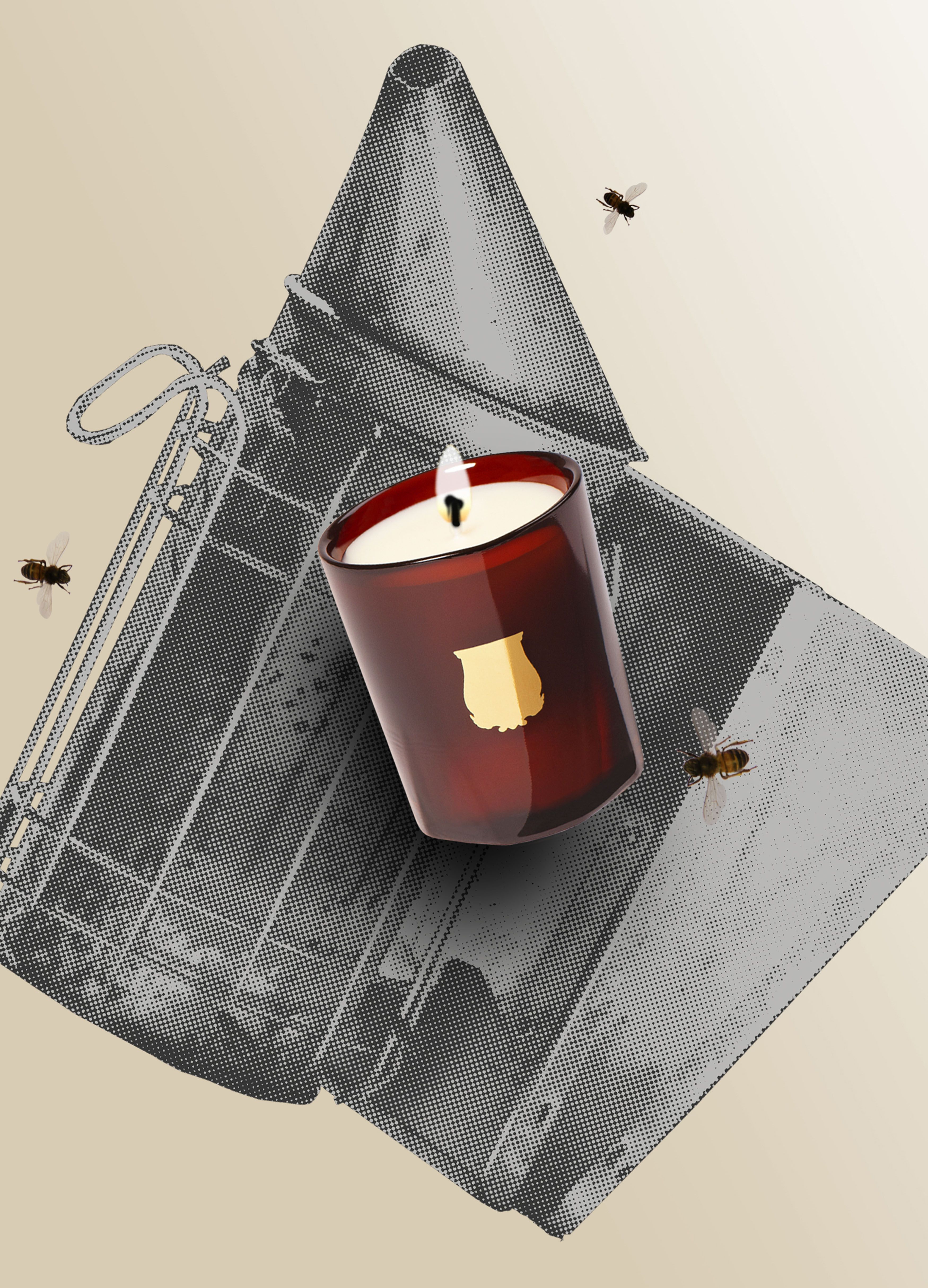Cire scented candle 70 g thumbnail 4