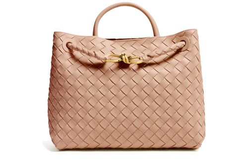 BOTTEGA VENETA Andiamo small bag