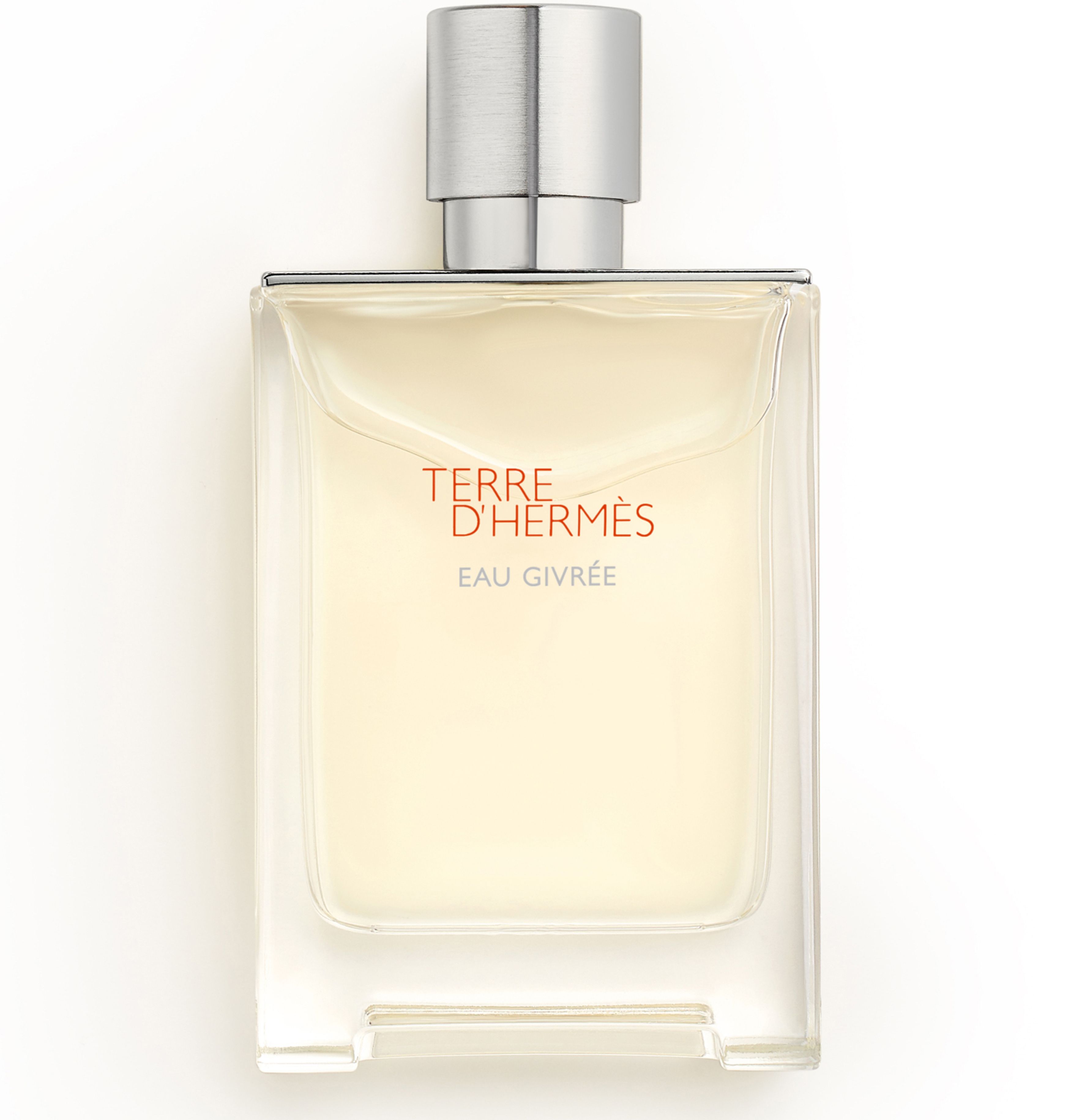 Terre d'Hermès Eau Givrée, Eau de Parfum 100 ml thumbnail 6