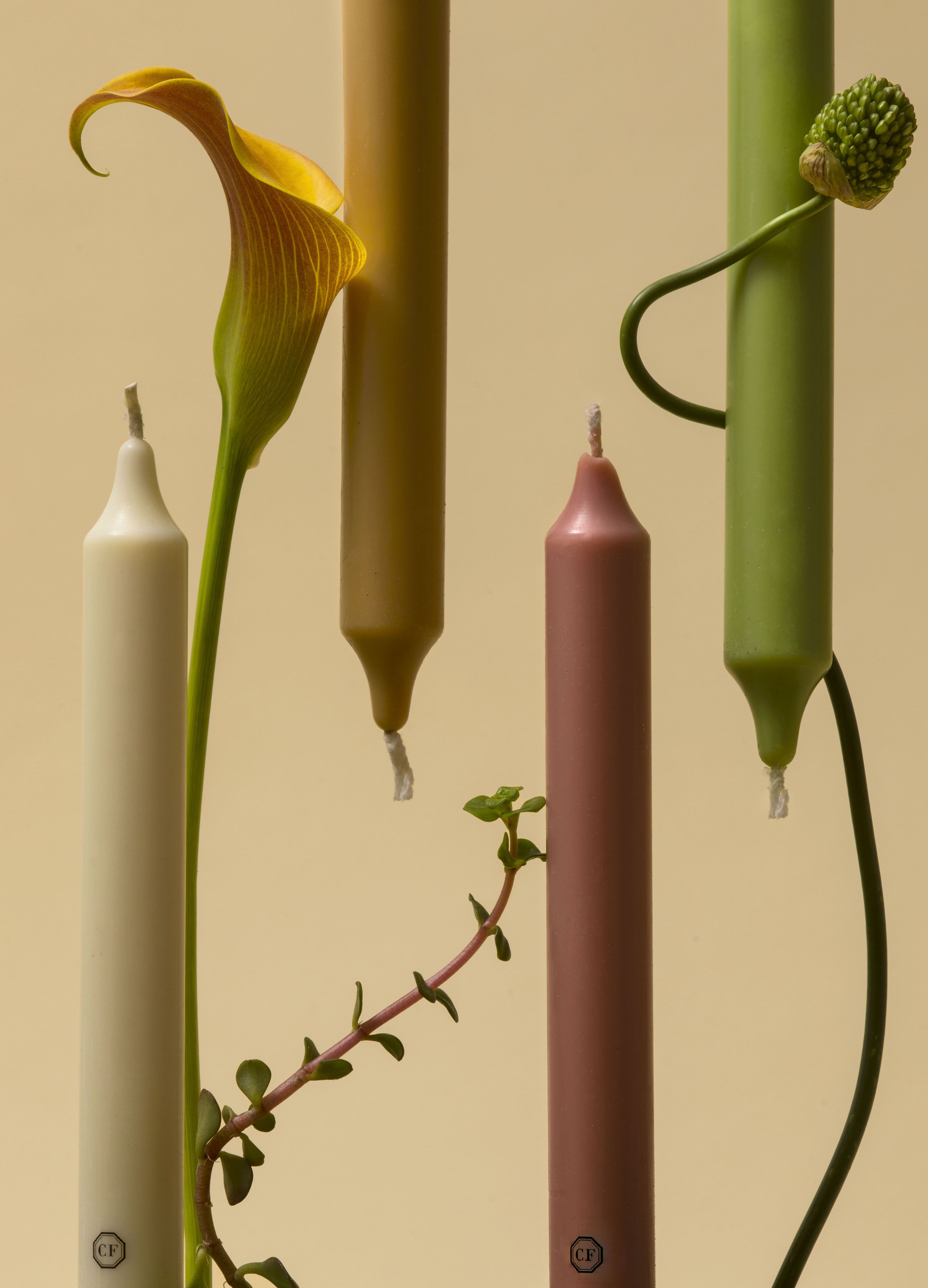 6 Scented Taper Candles Spearmint thumbnail 5