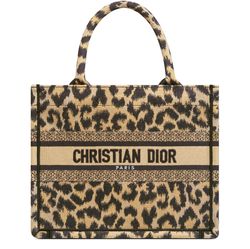 Dior Book tote beige stripe – LuxuryPromise