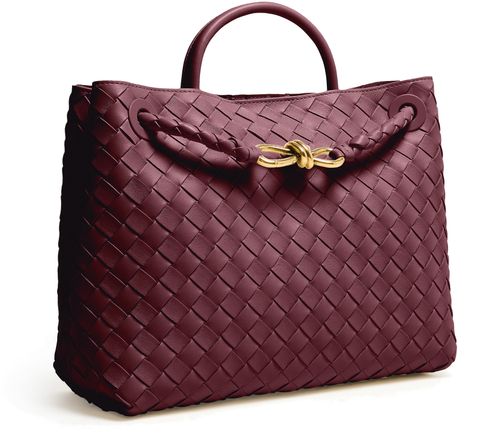 BOTTEGA VENETA Andiamo medium handbag