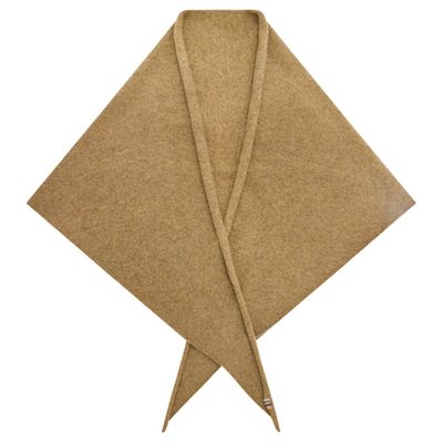 Extreme Cashmere No. 150 Witch Cashmere Scarf In Brown