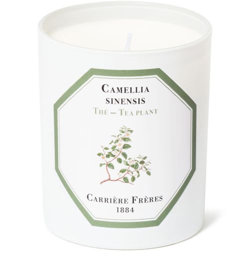 CARRIERE FRERES Scented Candle Tea Plant - Camellia Sinensis 185 g