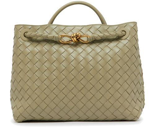 BOTTEGA VENETA Andiamo medium bag