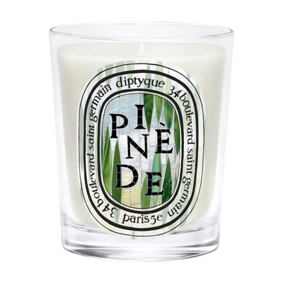 Diptyque Pinède Candle 190 G In Multi