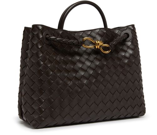 BOTTEGA VENETA Andiamo medium bag