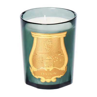 Trudon Figuerie Candle 800 G In Green