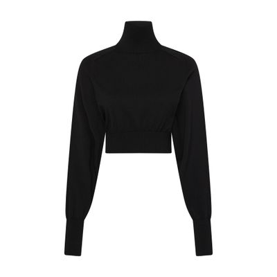 Sportmax Short Turtleneck Sweater In Black