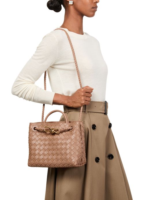 BOTTEGA VENETA Andiamo small bag