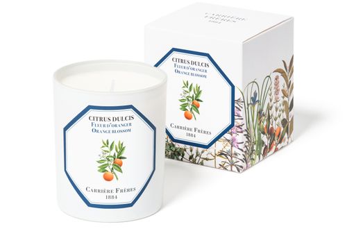 CARRIERE FRERES Scented Candle Orange Blossom - Citrus Dulcis 185 g