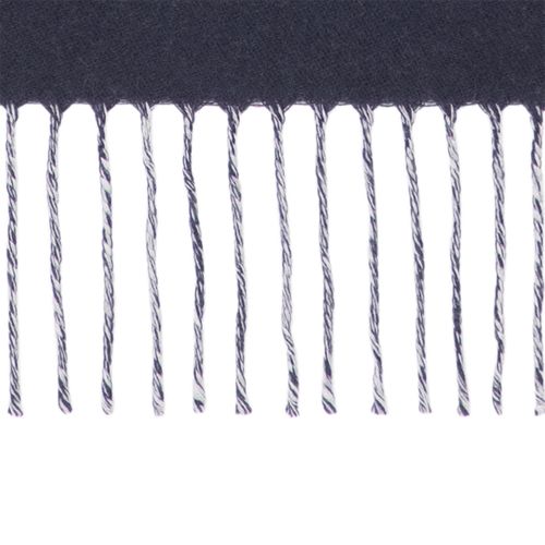 LOUIS VUITTON LV Essential Scarf