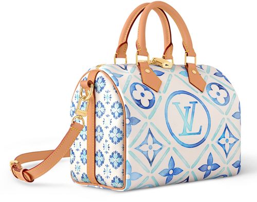 LOUIS VUITTON Speedy Bandoulière 25