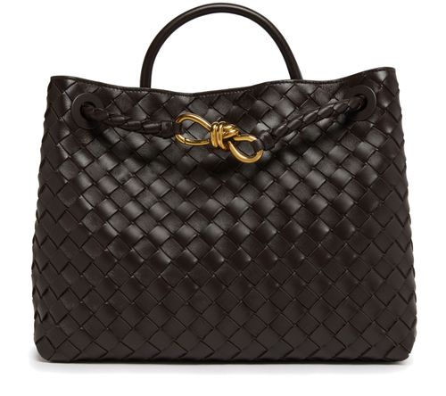 BOTTEGA VENETA Andiamo medium bag