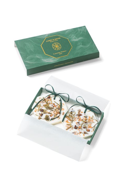 CARRIERE FRERES Winter Forest 24 botanical palet 