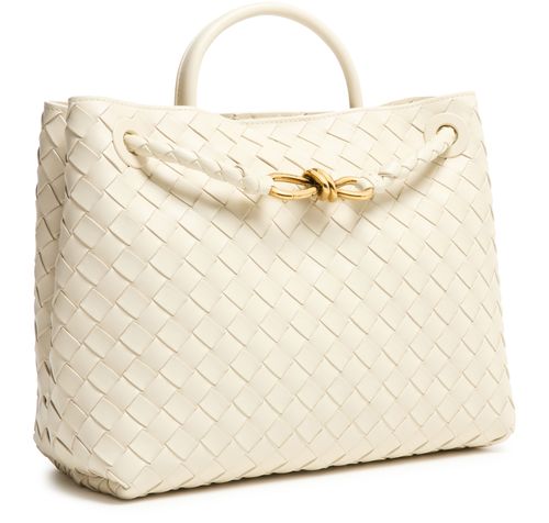 BOTTEGA VENETA Andiamo medium bag