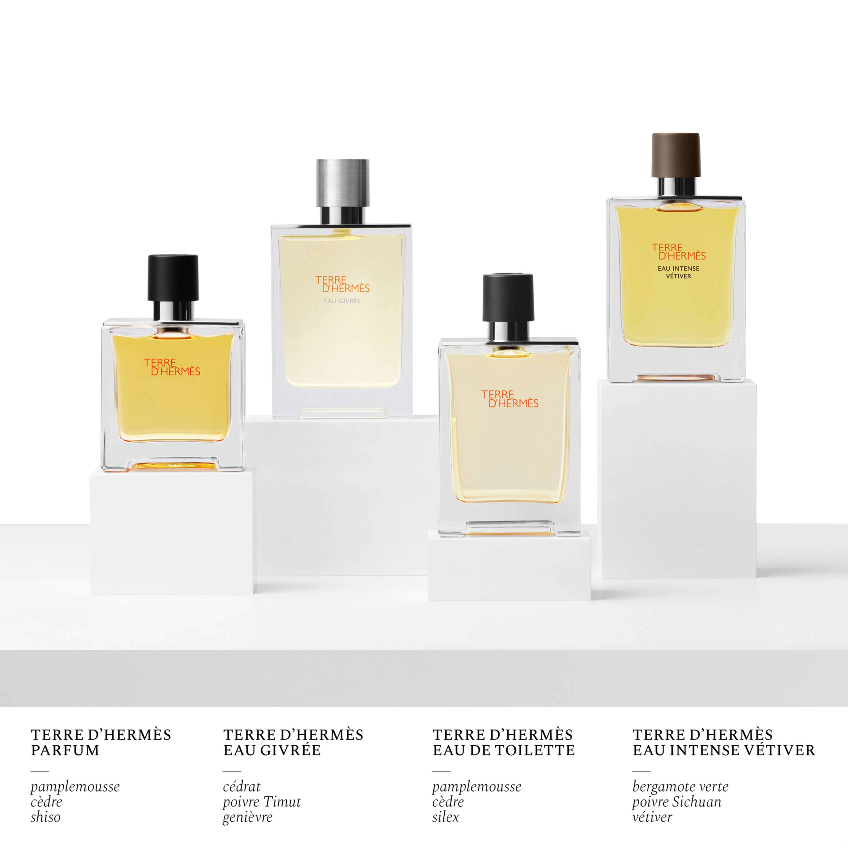 Terre d'Hermès, Eau de Toilette 100 ml thumbnail 4