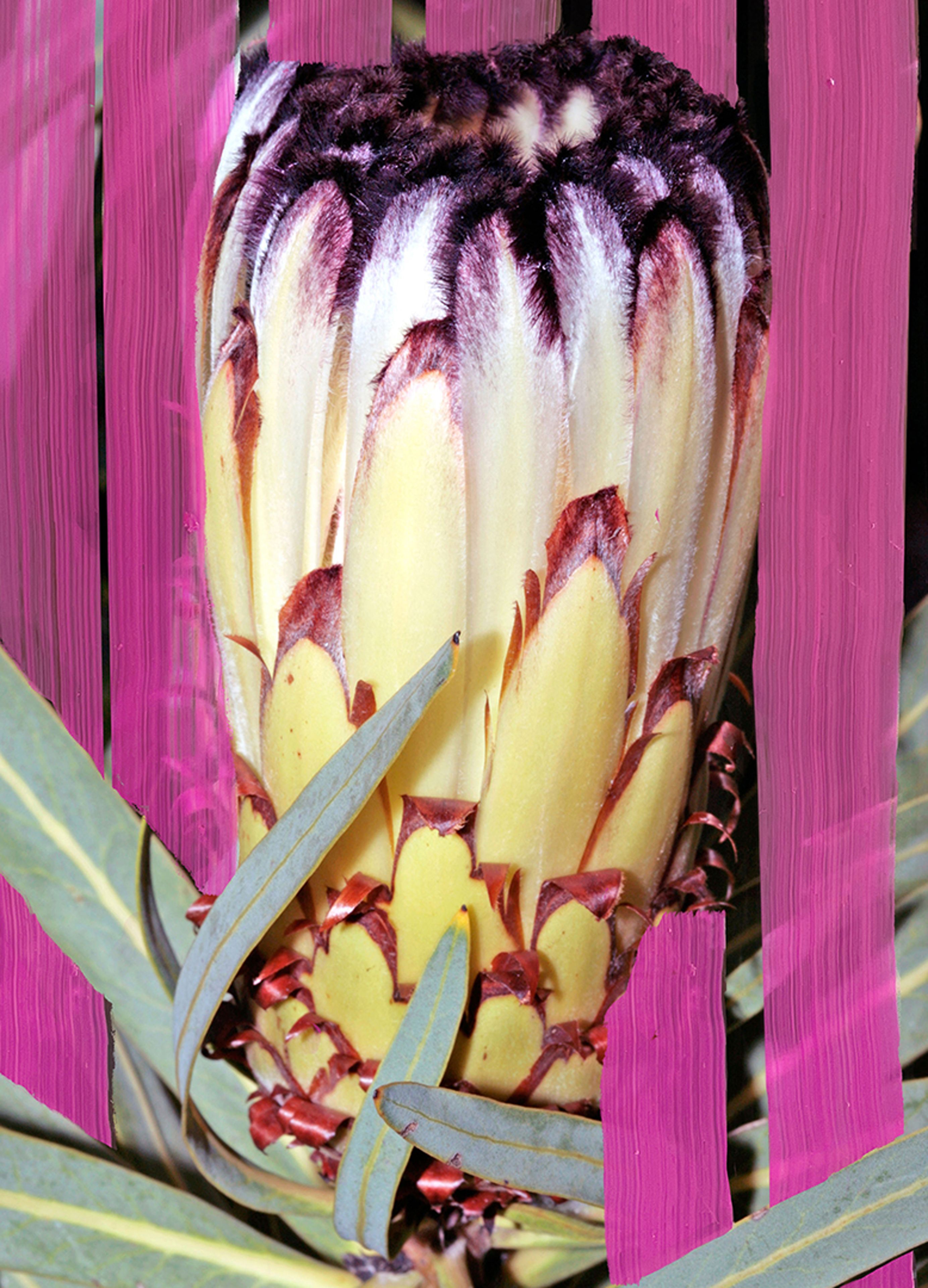 Inflorescence Eau de parfum 100 ml thumbnail 5